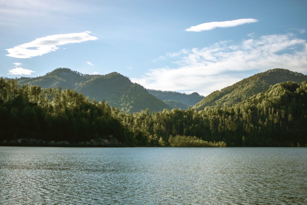 widok na jezioro